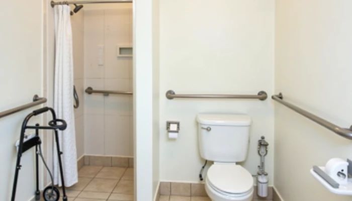 A bathroom equipped with senior safety features